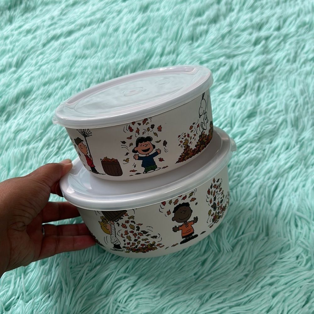 Peanuts snoopy seasonal containers storage perfect for fall thanksgiving…